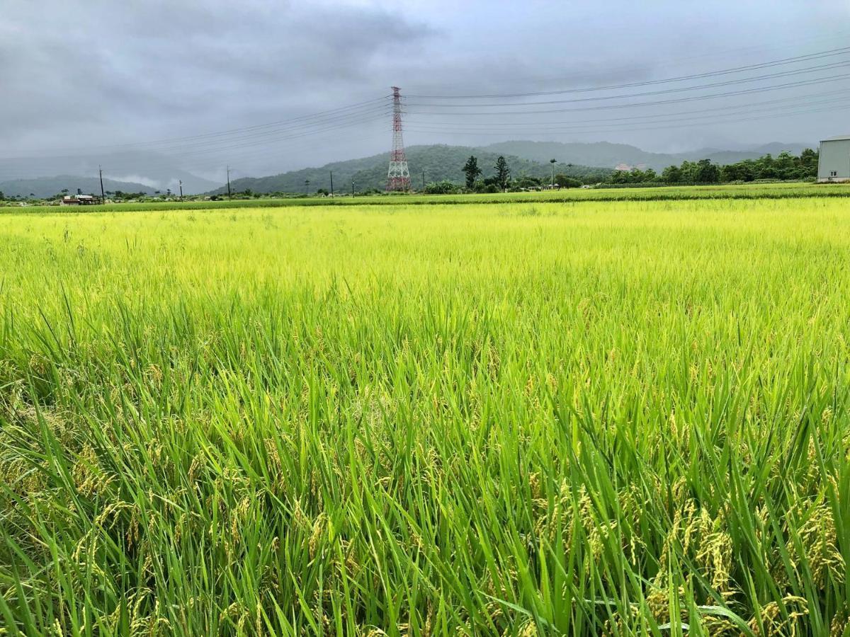 Fairy Story Village Farm B&B Dongshan  Buitenkant foto